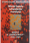 Wśród łopotu sztandarów rewolucji
