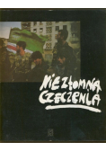 Niezłomna czeczenia