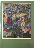 Miniatures of Babur Nama
