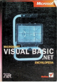 Microsoft visual basic