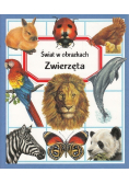 Świat w obrazkach Zwierzęta