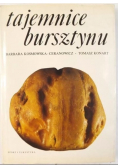 Tajemnice bursztynu