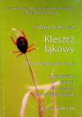 Kleszcz Łąkowy Dermacentor Reticulatus