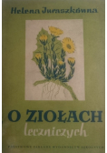 O ziołach leczniczych