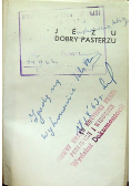 Jezu Dobry Pasterzu modlitewnik dla dorosłych