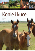 Gohl Christiane - Konie i kuce