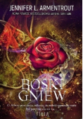 Boski gniew