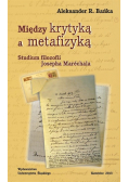 Między krytyką a metafizyką. Studium filozofii