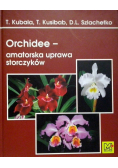 Orchidee amatorska uprawa storczyków
