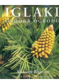 Iglaki ozdoba ogrodu
