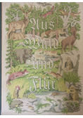 Aus Wald und Flur 1938r