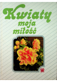 Kwiaty moja miłość