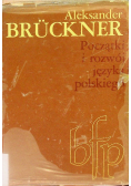 Początki i rozwój języka polskiego
