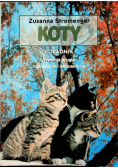 Koty Poradnik