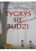 Tygrys się budzi