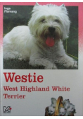 Westie west highland white terrier