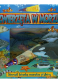 Zwierzęta w morzu Latarka