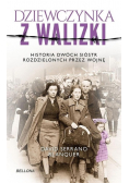Dziewczynka z walizki