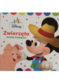 Disney Zwierzęta