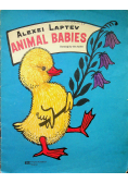 Animal babies
