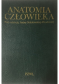 Anatomia człowieka