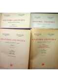 Anatomia człowieka 4 tomy