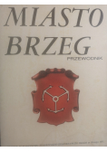 Miasto Brzeg przewodnik