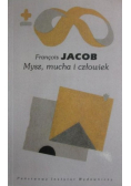 Mysz mucha i człowiek