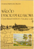 Wśród panoram Krakowa o przemianach widoków i o tym, jak je ocalić
