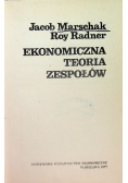 Ekonomiczna teoria zespołów