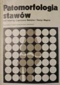 Patomorfologia stawów