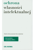 Ochrona własności intelektualnej