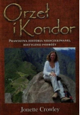 Orzeł i Kondor