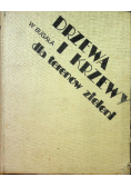 Drzewa i Krzewy dla terenów zieleni
