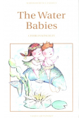 The Water Babies