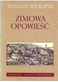 Zimowa opowieść