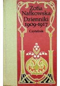 Dzienniki 1909 1917