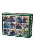 Puzzle 1000 Kruki G3