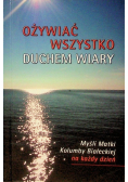 Ożywiać wszystko duchem wiary
