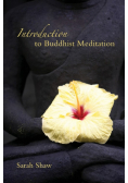 Introduction to Buddhist Meditation