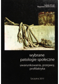Wybrane patologie społeczne