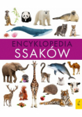 Encyklopedia ssaków