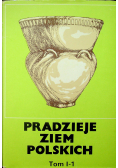Pradzieje ziem polskich Tom I 1