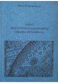 Między ewolucyjnym a stacjonarnym obrazem wszechświata
