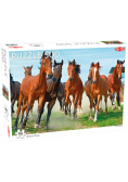 Puzzle Konie 500