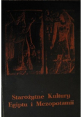 Starożytne Kultury Egiptu i Mezopotamii