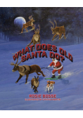 What Does Old Santa Do?
