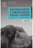 Nefrologia i urologia psów i kotów