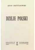 Dzieje Polski Miniatura