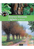 Drzewa liściaste i iglaste w Polsce